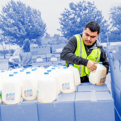 Man with a safety vest on, picking up a gallon of milk at the mobile food pantry.