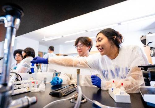 Students Work on Experiments in a UNT Dallas Science Lab