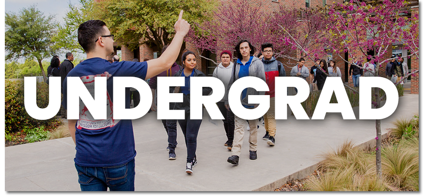 Undergraduate student campus tours